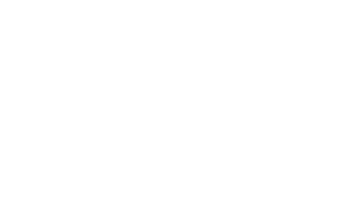 ayo indonesia